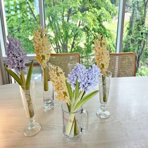 페이퍼플라워 히아신스