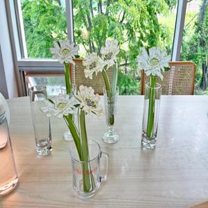 페이퍼플라워 스카비오사