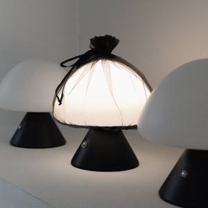 메쉬룸 램프 LED 머쉬룸 무드등 충전식 무선 버섯 조명(메쉬망 탈부착 가능)