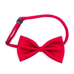 8색상 나비넥타이 보타이 단체 행사 파티 소품 리본 넥타이 유치원 학교 체육대회 운동회