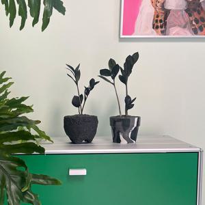 [5% 쿠폰!] 블랙 금전수 금전운을 부르는 개업화분 인테리어 감성화분 화분 2type