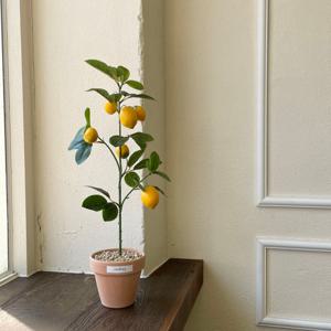 유주나무 레몬 트리 귤 조화 인조 나무 화분 2size