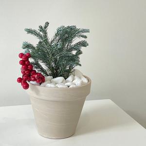 블루버드 독일토분세트 2colors