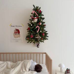 25년 NEW 원조 친환경 리얼 벽트리