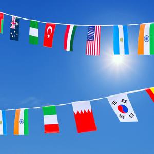 선명한 폴리 만국기 6m 20개국 오픈식 개업식 응원 용품 나라 국기