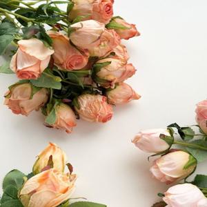 말린 장미 조화 장식 드라이 로즈 생화같은 꽃 빈티지 인테리어 소품 실크플라워