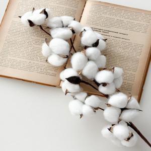 10송이 목화 꽃 가지 조화 크리스마스 인테리어 겨울꽃