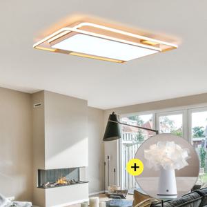 단스탠드증정 LED 심플 라인 거실등 200W