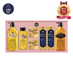 LG추석선물세트 프로폴리테라 에센셜