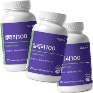 빌베리 100 120정 3팩