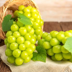 2023년 제철맞은 국내산 가정용 샤인머스캣 1kg 2수~