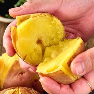 속이 노란 포슬포슬 카스테라 홍감자 3KG/5KG