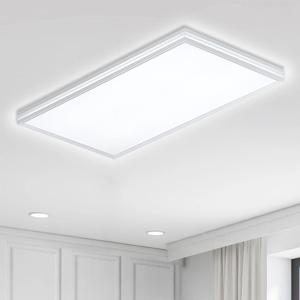 LED 투미 거실 2등 60W 국산 삼성LED칩 주광색