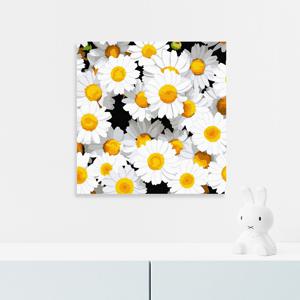 DIY 명화그리기 데이지 가든 20x20cm