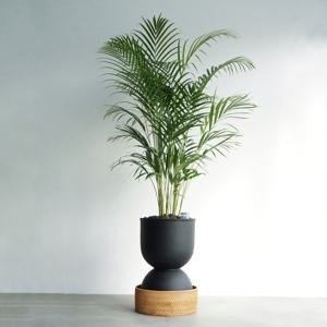 아레카야자 MB-2 무광 블랙 라탄 커버 화분 대형식물 사무실인테리어 개업화분 축하화분