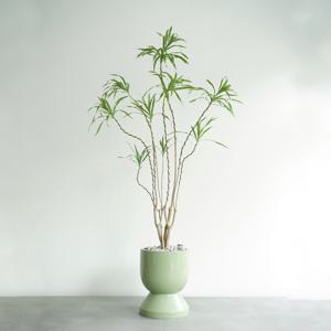 드라세나 자바 GG-2 파스텔그린 대형화분 고급화분 사무실인테리어