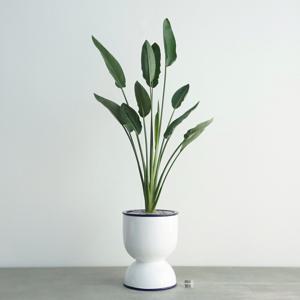 극락조 딥블루 더블링 화분 대형화분 공기정화식물 고급화분 거실화분 거실인테리어