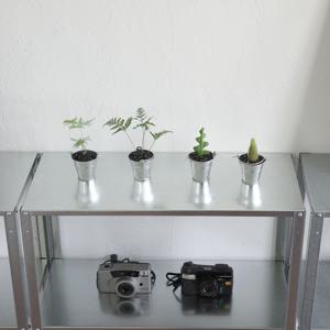 1+1 쇠 맛 느낌 트레이 세트 인테리어 미니 공기정화식물 10종 쇠테리어 플랜테리어