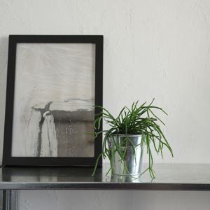 1+1 쇠테리어 트레이 세트 작은방 꾸미기 공기정화식물 11종 플랜테리어