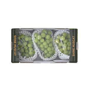 샤인머스캣 2.2kg 박스