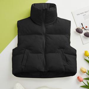 TEMU 1pc 여성용 두꺼운 따뜻한 자켓, 여성용 캐주얼 하이 칼라 반팔 자켓, 폴리에스테르 섬유, 단색, 두꺼운 따뜻한 조끼, 가을/겨울 코트, H 라인, 스트레치되지 않는 직물, 65g/m² 안감, 70g/m² 무게