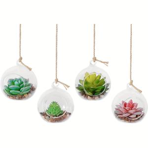 TEMU 2/4/6pcs 걸이형 유리 글로브 공기 화분 테라리움 꽃병, 걸이형 유리 화분 둥근 공기 식물 테라리움 글로브 즙이 많은, Tillandsia, 공기 식물, 식물 애호가를위한 선물 추수 감사절 크리스마스 홈 인테리어 (식물은 포함되지 않음)