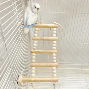 TEMU 1pc 나무 새 등반 프레임, 내구성 있는 파로트 햄스터 케이지 액세서리, 파로트 장난감 세트 - 등반 계단, 새 대나무 및 점프 플랫폼, 허니 베이글 등반 새 케이지 액세서리, 작은 새 장난감 스윙 계단 대나무