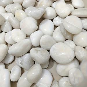 TEMU 3000/6000g(6.6/13.2파운드) 화이트 리버 스톤 & 폴리시드 자갈 - 2.03-4.06인치 천연 장식용 돌, 실내 식물, 수족관, 정원 조경, 꽃병 채우기 | DIY 공예, 홈 , 실내/야외 사용