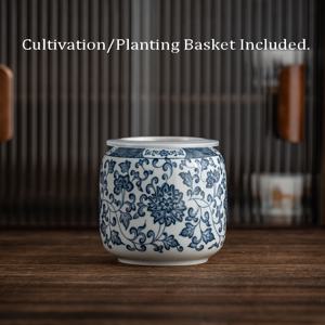 TEMU 도자기 청백 그린 식물 수경 화분과 재배 바구니, 포토스 머니그래스 꽃병 데스크탑 장식품, 거실·스터디룸용 실내외 인테리어 소품|화분받침대