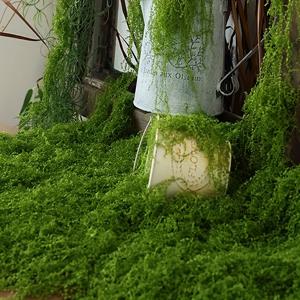 TEMU 100g 인조 이끼 덩굴, 확장 가능하고 다용도, 정원 장식, 조경 미화, 실내/실외 사용에 적합, 크리스마스에 최고, 추수감사절에 완벽, 장식용 인조 이끼, 인조 이끼, 매트 이끼, 검은 이끼, 이끼 매트, 모델 조경, 테라리움 재료, 홈 데코 아이템, 식물, 홈 데코 꽃, 인조 식물 실내, 인조 꽃, 식물 인조, 인조 식물