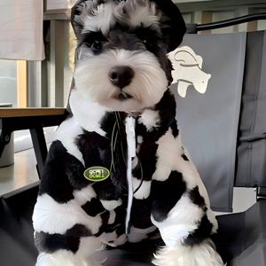 TEMU 파이그리 플러시 강아지 & 고양이 코트 - 겨울 따뜻함 지퍼 클로저, 소형, 중형, 대형 견종용 부드러운 펫 스웨터 - 포메라니안, 개 겨울 코트, 소형견, 소형견 주인, 소형견 코트, 고양이 옷