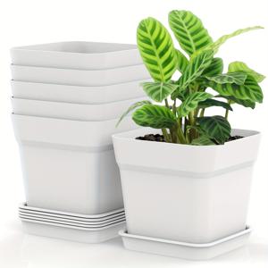 TEMU 배수구와 트레이가 있는 6인치 정사각형 플라스틱 화분 6개 팩 - 아프리카すみ레, 뱀 식물, 알로에 꽃, 다육 식물과 같은 실내 식물에 적합합니다.