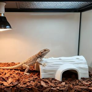 TEMU 도마 지붕과 날카로운 모서리가 있는 파충류 은신처 하우스 - 도마뱀, 뱀, 게코, 거북이를 위한 헤비듀티 하드 하비타트 - 청소가 쉬운 케이지 액세서리, 파충류 탱크 및 테라리움용 쉼터