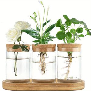 TEMU 3개 식물 번식 테라리움 데스크탑 유리 화분 물 재배용 유리 꽃병 뚜껑 및 나무 받침대 포함 수경법 식물 번식 센터피스 사무실 홈 가든 장식