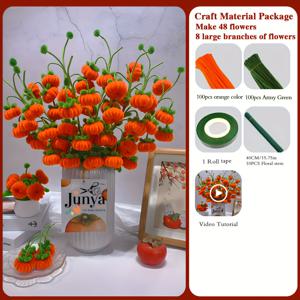 TEMU 211pcs 사과 파이프 클리너 꽃 모음 세트, 200개 파이프 클리너, 10개 꽃 줄기, 1개 테이프 - 어머니의 날, 졸업식, 가정 장식 및 휴일 선물용 업그레이드 DIY 공예 키트