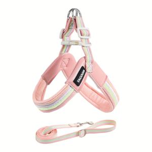 TEMU 2개 세트 노풀 강아지 하네스 조절 가능한 소프트 패딩, 쉬운 사용 펫 체스트 스트랩 및 리드 포함, 소형부터 대형견까지 산책 훈련용 백 서포트|강아지옷