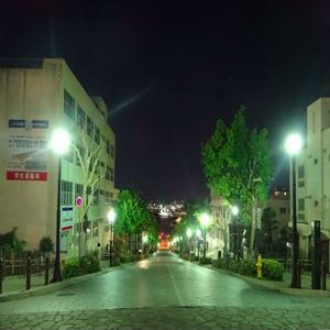 홋카이도 하코다테 워킹 투어