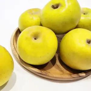 [혜택가 9,270원] 25년 햇 시나노골드 황금사과 2kg/4kg