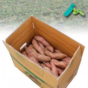 강화속노랑고구마 10kg