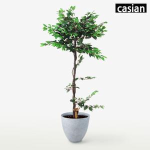 인조나무 벤자민(화분형D) CN 인테리어 대형 조화나무