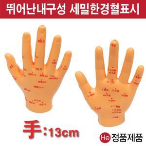 손모형 경혈모형 HD5002ZY 침술인형 수지침 혈자리 지압봉 요골 척골 한의원 한방인체신체 실습 이혈요법