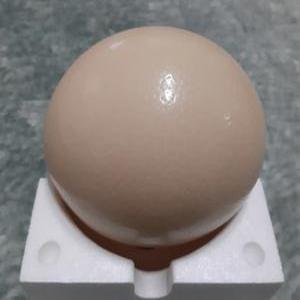 한길타조농장 건강 타조알 (소 , 중, 대)