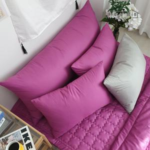 집먼지 진드기 알러지케어 바디필로우 롱쿠션 솜포함