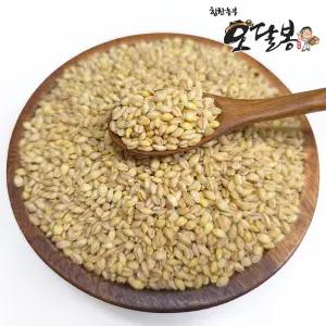 국산 황금찰보리 찰보리쌀 5kg