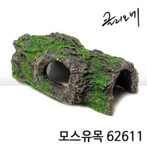 클리오네 모스유목 62611