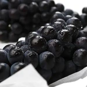 캠벨 포도 2kg(4-6수)