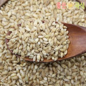 통보리 쌀보리 2025년산 햇쌀보리 5kg 국산 통보리 나맥 새싹보리