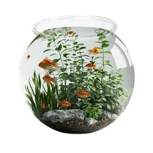 [초록끈] 아마존 투명플라스틱어항 (중) 13x20x18cm YG-205