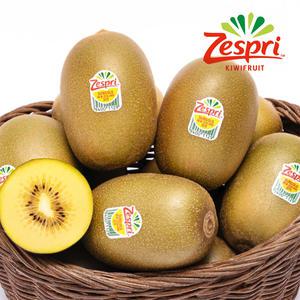 제스프리 골드키위 특대과 15과(팩포장)