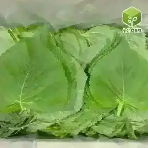 국내산 찹찹이 깻잎 2kg